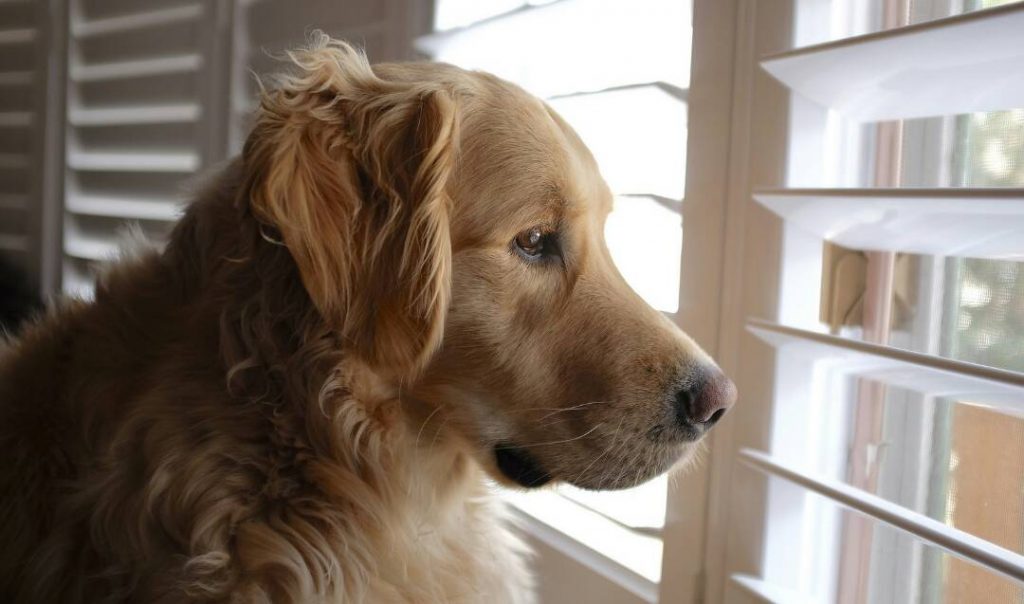 Patience is Virtue