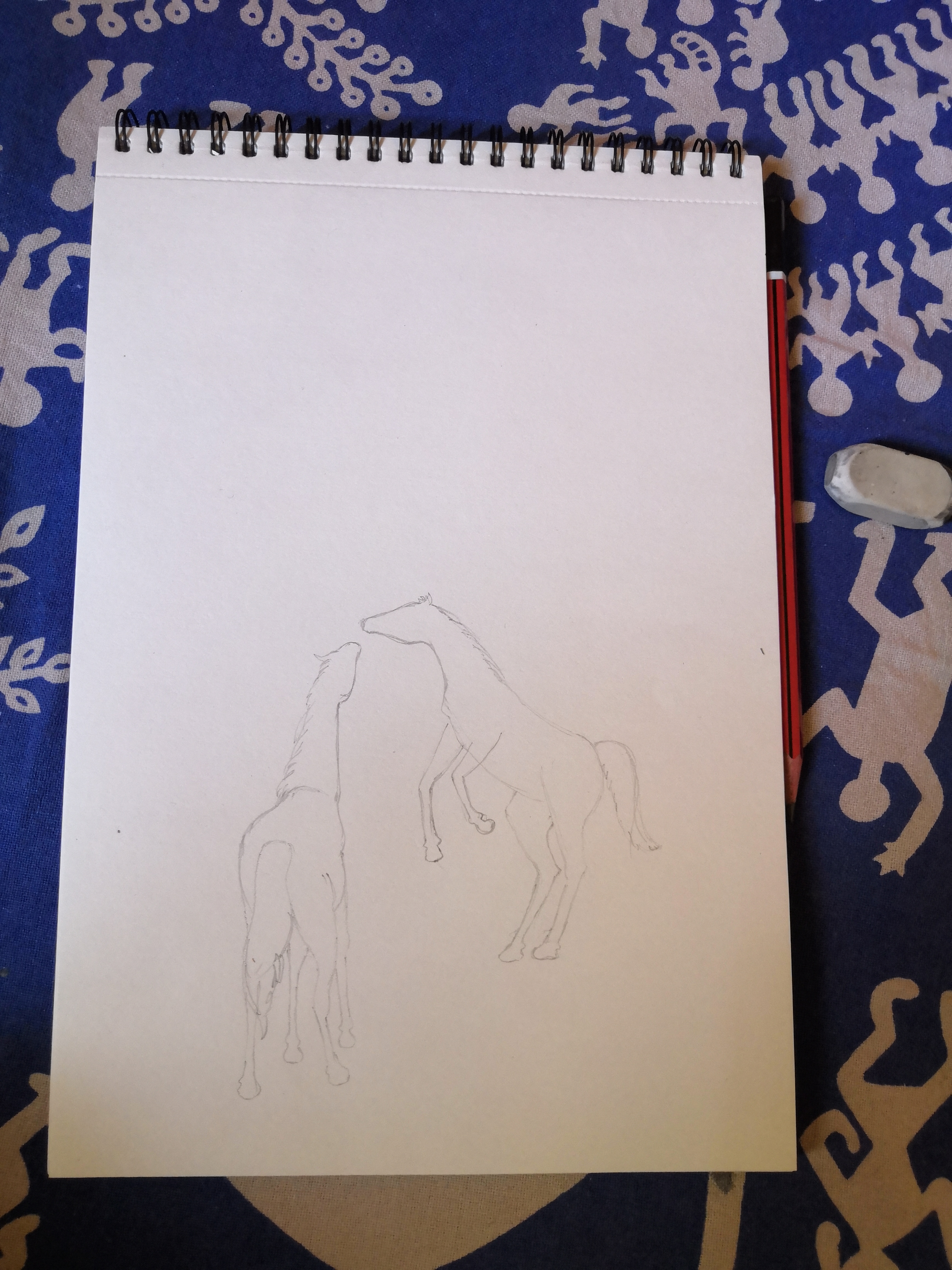 Horse Art Sketch